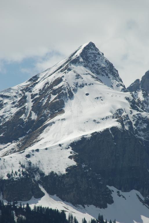 Bella Romantica Brunig Pass Dış mekan fotoğraf